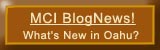 Visit Our Blog!