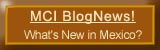 Visit Our Blog!
